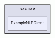 ExampleNLPDirect